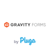 Gravity Forms - Integrações com a vindi